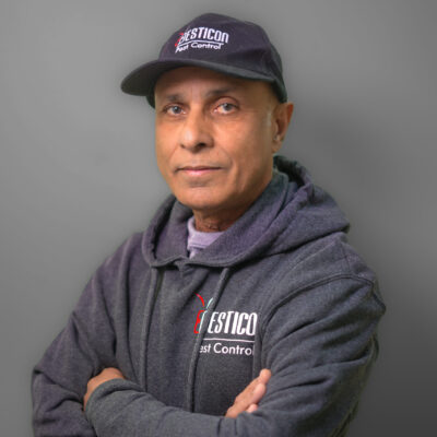 Iftikhar Khan portrait