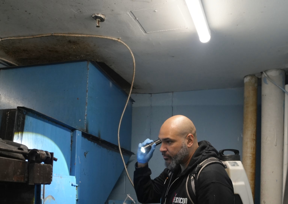A Pesticon technician inspecting a commercial plant room with a flashlight during a rodent inspection