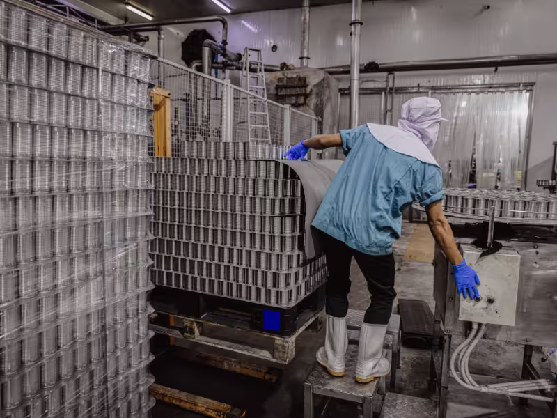 Manufacturing pest control services for industrial and production facilities