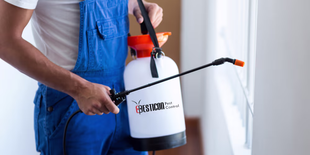 Pesticon licensed technician carrying out a pest control treatment at a Markham home